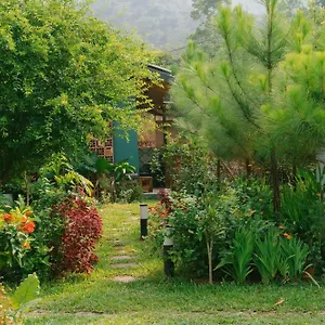 Lodge Anna Little Garden - Soc Son - Thong House