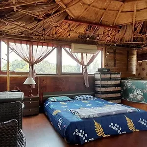 Albergue Green Homestay Hanói