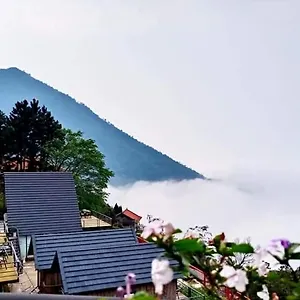 Ban Mai Xanh Tam Dao *