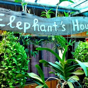 Casa de Campo Elephant House - đường Lâm Homestay Hanói
