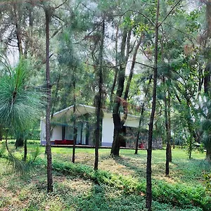 Hilltop H226 - Nam Trong Khuon Vien Flamingo Dai Lai * 푹옌