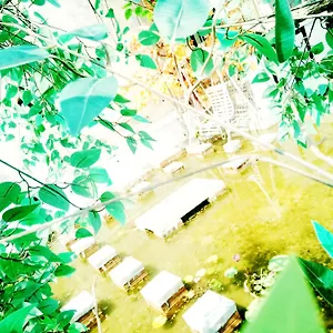 Wishhouse Hanoi