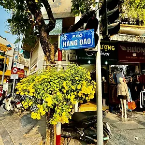Il Divo & Hang Dao Guest house *
