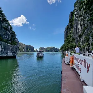 Dragonfly Cruise