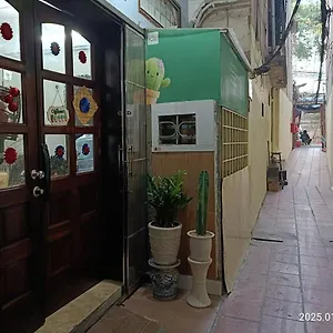 Cactus 2 3*
