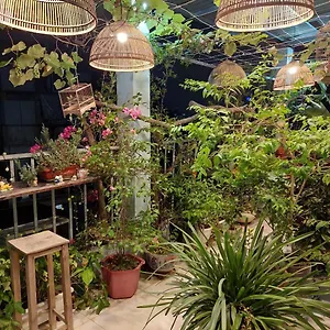 Séjour chez l'habitant Alley Hanoï